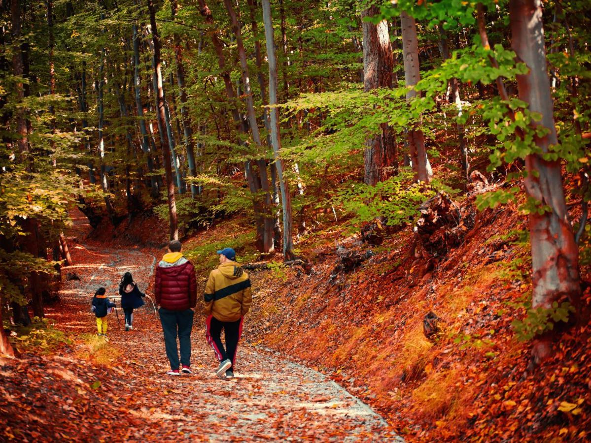 Altavista Mountain Apartment Samoko Dış mekan fotoğraf